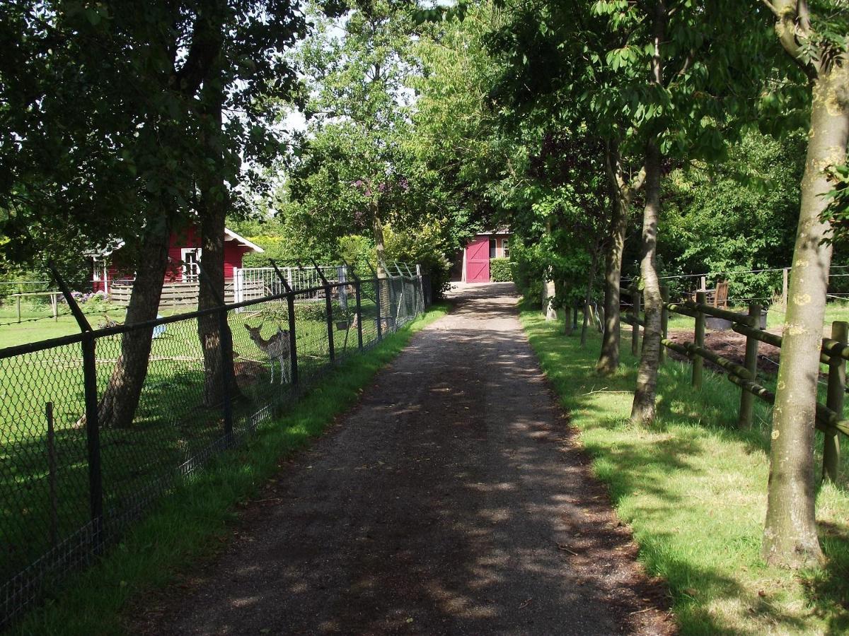 Vakantiehuisjes Landgoed Sonneborghe Kollumerzwaag Esterno foto