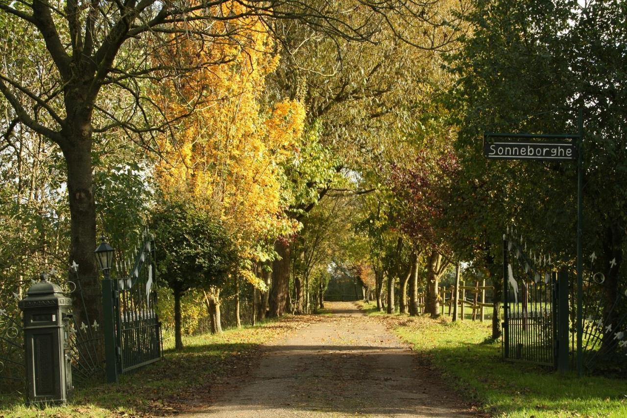 Vakantiehuisjes Landgoed Sonneborghe Kollumerzwaag Esterno foto