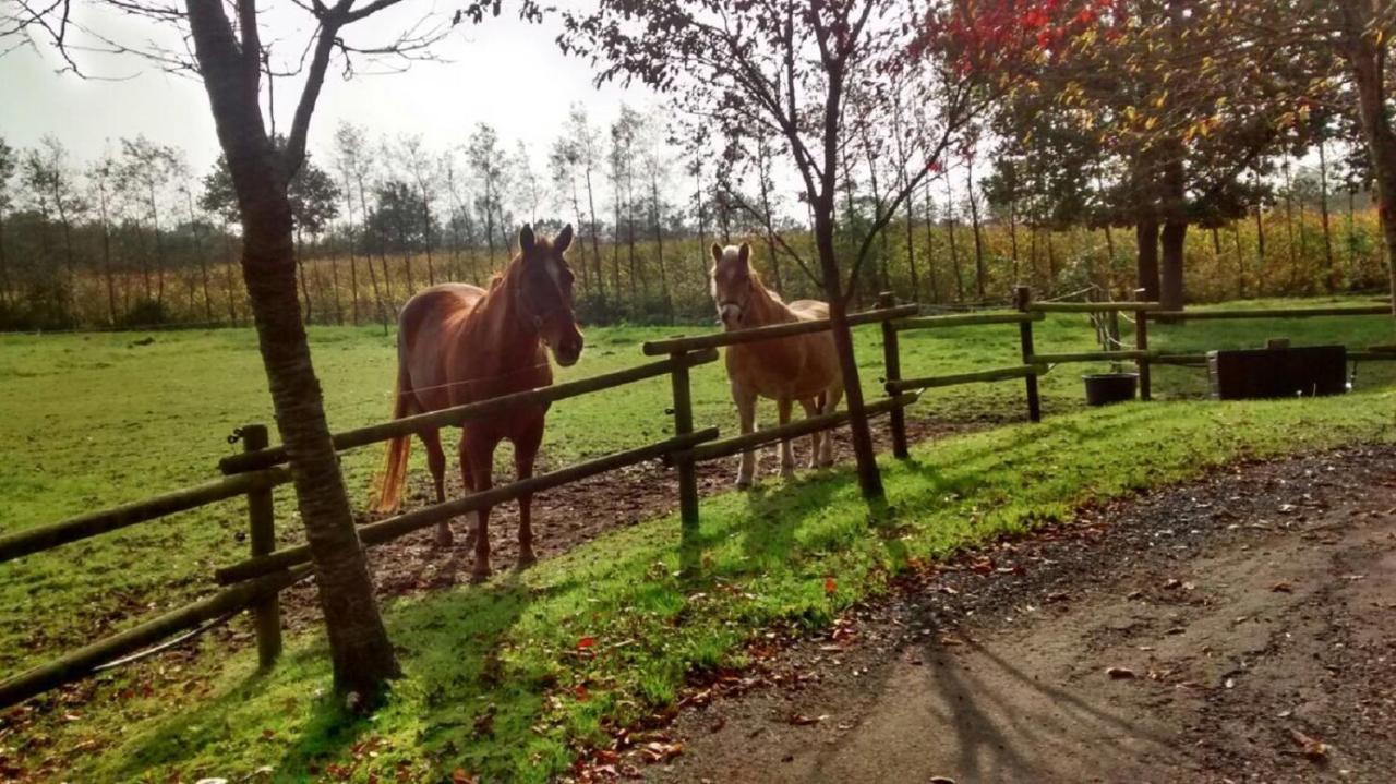 Vakantiehuisjes Landgoed Sonneborghe Kollumerzwaag Esterno foto