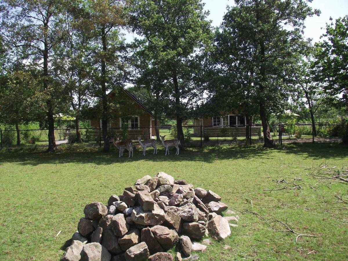 Vakantiehuisjes Landgoed Sonneborghe Kollumerzwaag Esterno foto
