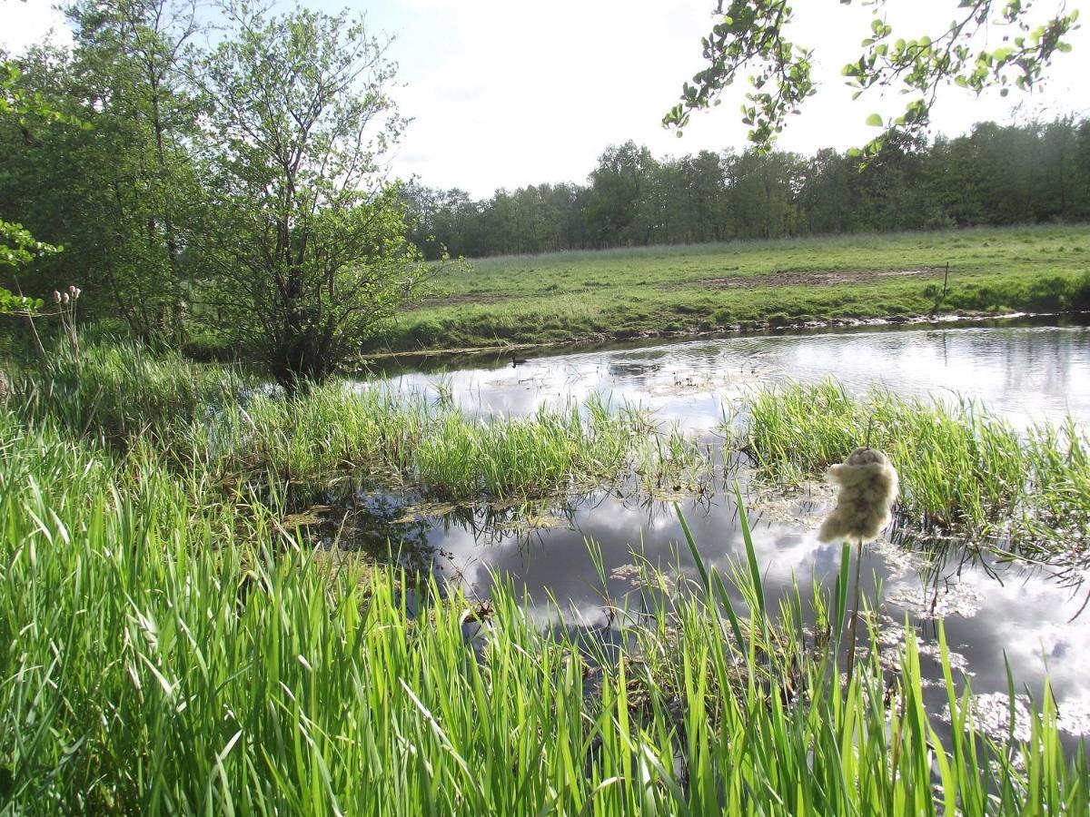 Vakantiehuisjes Landgoed Sonneborghe Kollumerzwaag Esterno foto