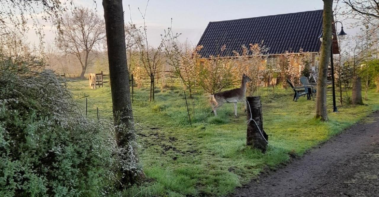 Vakantiehuisjes Landgoed Sonneborghe Kollumerzwaag Esterno foto